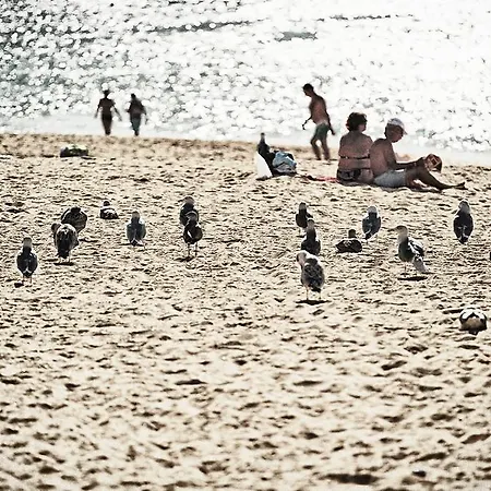 Διαμέρισμα Rosamar